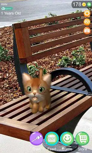Play AR Cat as an online game AR Cat with UptoPlay