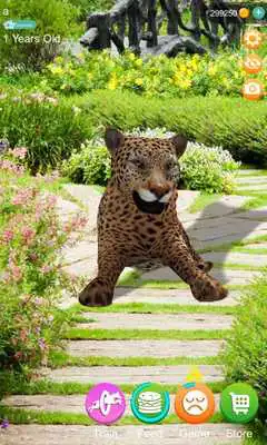 Play AR Cheetah