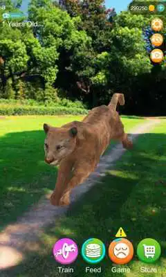 Play AR Cheetah