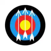 Free play online Archery 2D APK