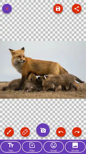 Play Arctic Fox, Baby Fox, Fox Wall as an online game Arctic Fox, Baby Fox, Fox Wall with UptoPlay