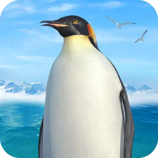 Play Arctic Penguin Bird Simulator APK