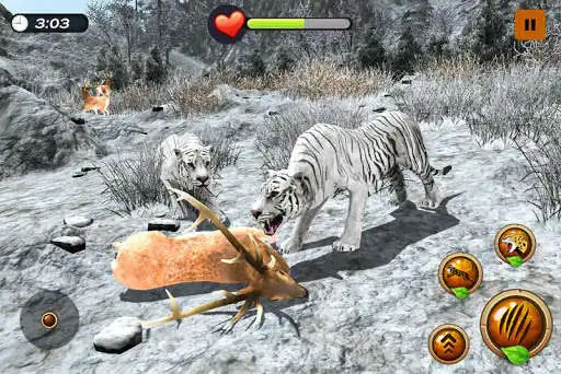 Play Arctic Tiger Simulator: Wild Family Survival as an online game Arctic Tiger Simulator: Wild Family Survival with UptoPlay
