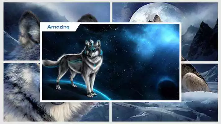 Play Arctic Wolf Wallpaper