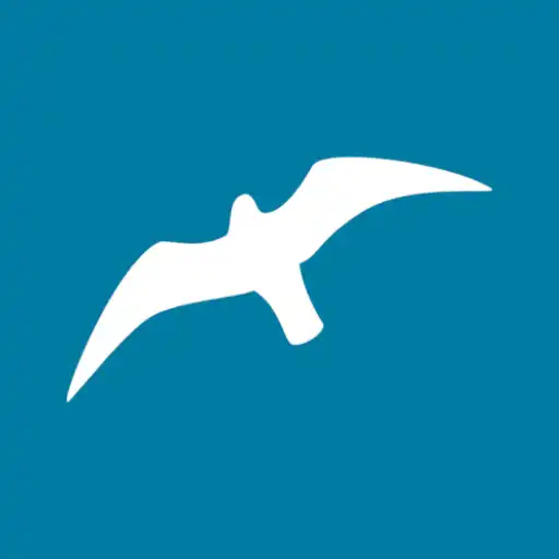 Play Arena del Mar APK Play Arena del Mar APK