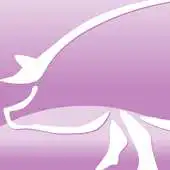 Free play online ARGAPOR APK Free play online ARGAPOR APK