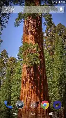 Play Ariel Nature Timelapse HD Live