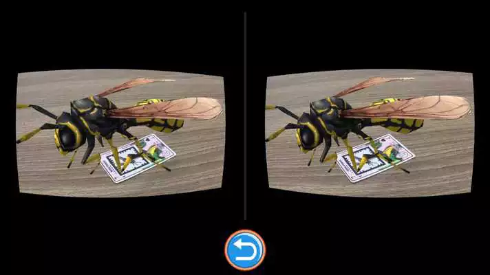 Play AR Insects Play AR Insects