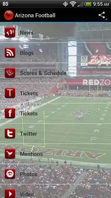 Play Arizona Football