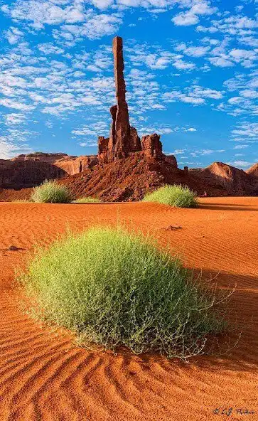 Play Arizona Wallpaper HD as an online game Arizona Wallpaper HD with UptoPlay