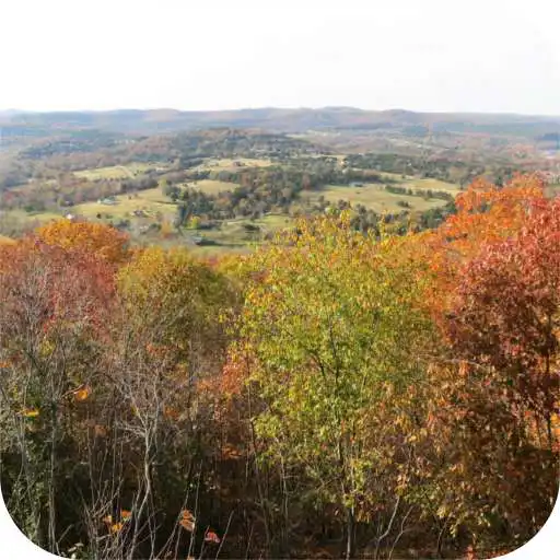 Play Arkansas Local News APK Play Arkansas Local News APK
