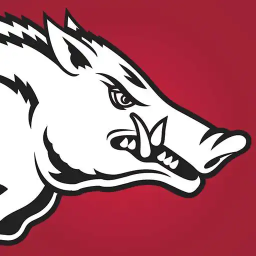 Play Arkansas Razorbacks APK Play Arkansas Razorbacks APK