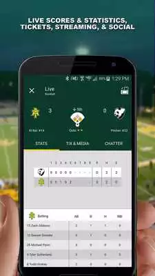 Play Arkansas Tech Experience