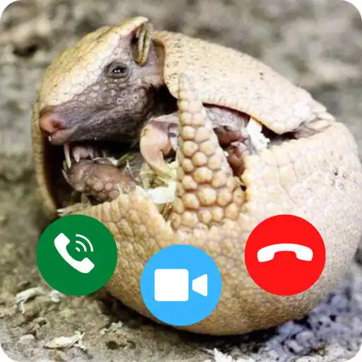 Play Armadillo Calling APK Play Armadillo Calling APK