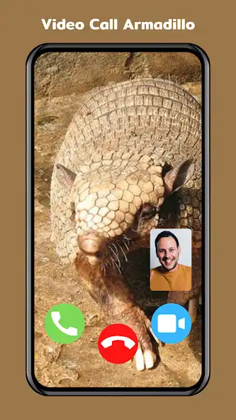 Play Armadillo Calling as an online game Armadillo Calling with UptoPlay