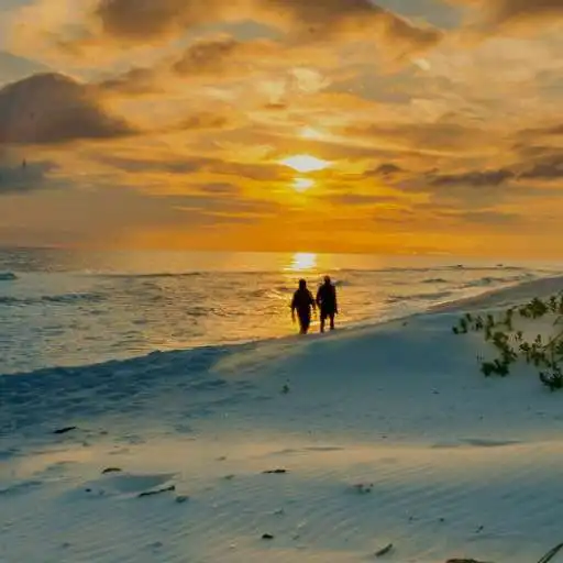 Play A romantic night APK