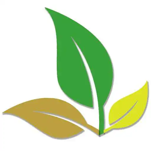Play Aroma Vadisi APK Play Aroma Vadisi APK