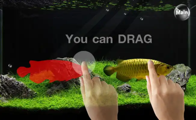 Play arowana mania
