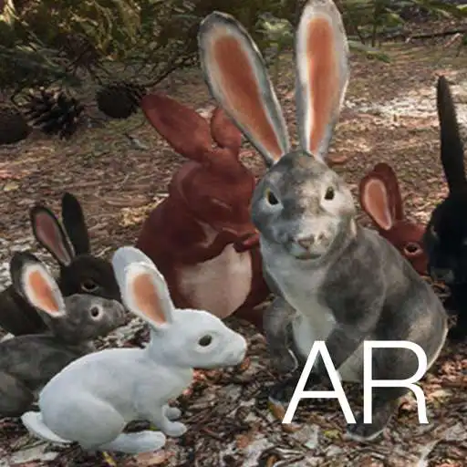 Play AR Rabbits APK Play AR Rabbits APK