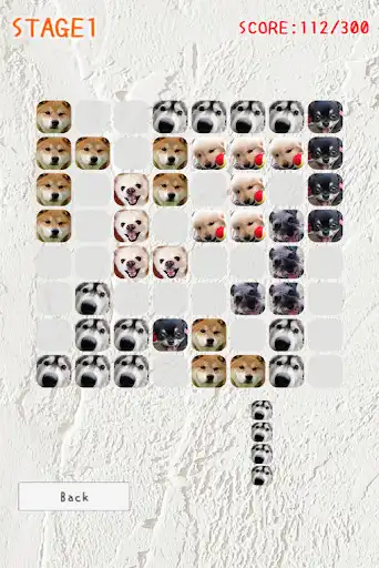 Play Arrange Dogs  and enjoy Arrange Dogs with UptoPlay