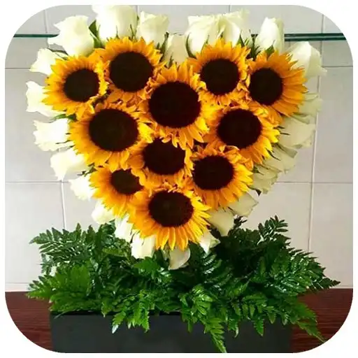 Play Arreglos de Flores APK Play Arreglos de Flores APK