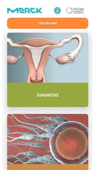 Play ART Atlas by MERCK  and enjoy ART Atlas by MERCK with UptoPlay
