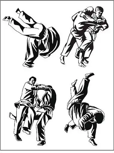 Play Artes Marciales - WIKI