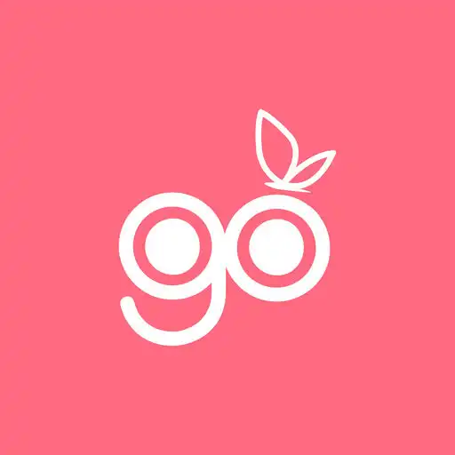 Play artisgo APK