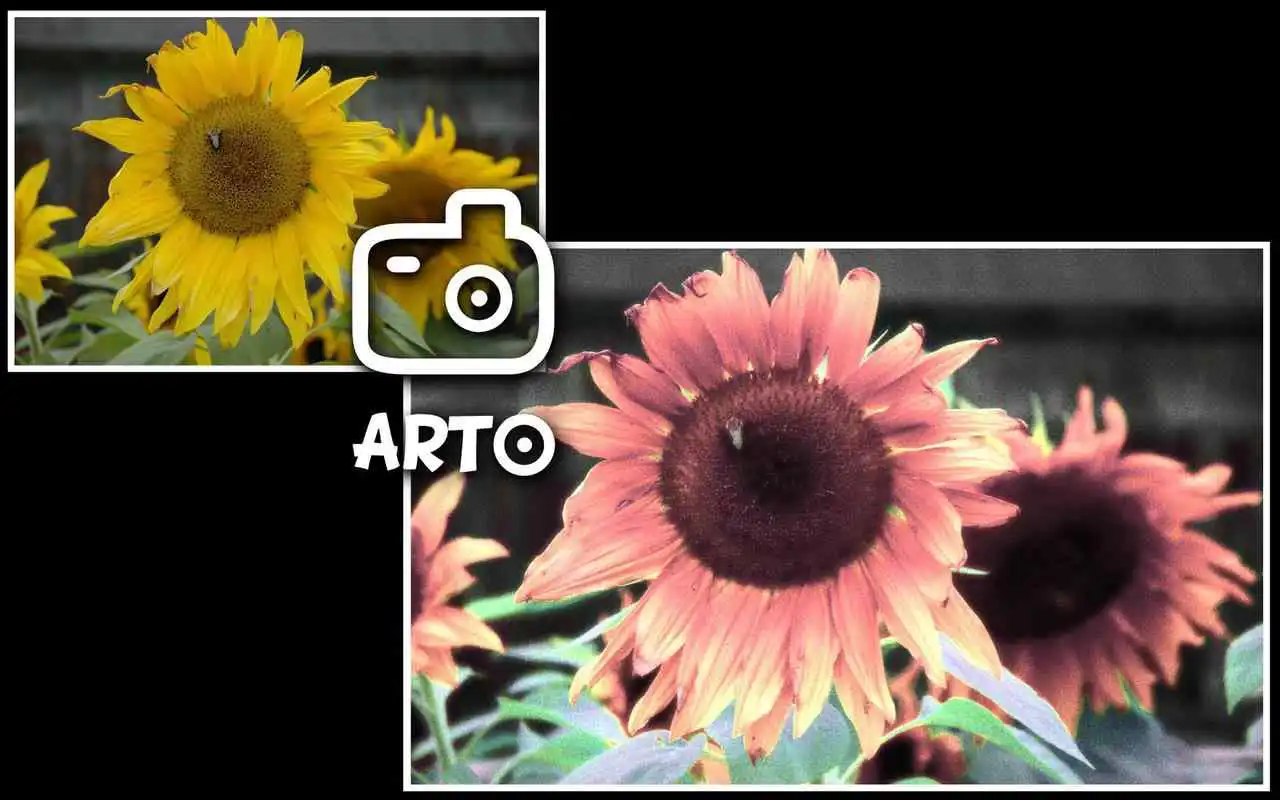 Play Arto.lite: f.infrared