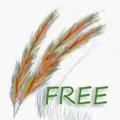 Free play online ART Painter APK