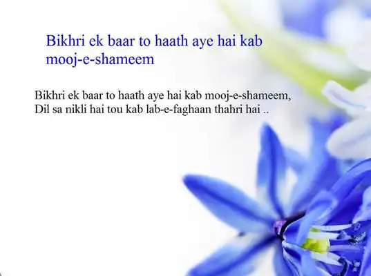 Play Arzoo Shayari