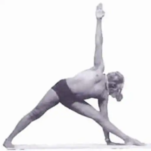 Play Asanas Encyclopedia APK Play Asanas Encyclopedia APK