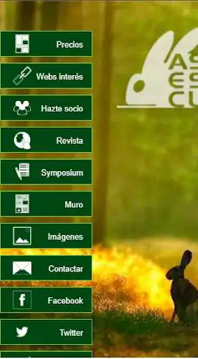 Play Asescu  and enjoy Asescu with UptoPlay