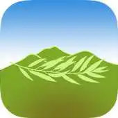 Free play online Asheville Cabins WNC Guide APK