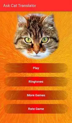 Play Ask Cat Translator