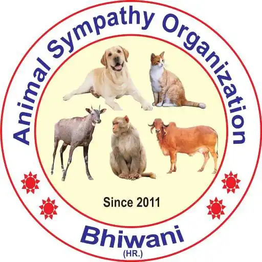 Play ASO BHIWANI APK