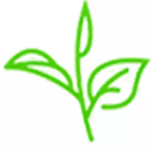Play Assam Tea Gardens APK Play Assam Tea Gardens APK