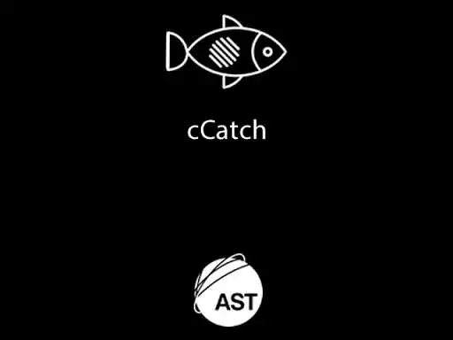 Play AST cCatch  and enjoy AST cCatch with UptoPlay