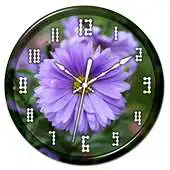 Free play online Aster Clock Live Wallpaper APK