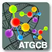 Free play online ATGCB 2013 APK