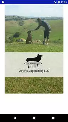 Play Athens Dog Training