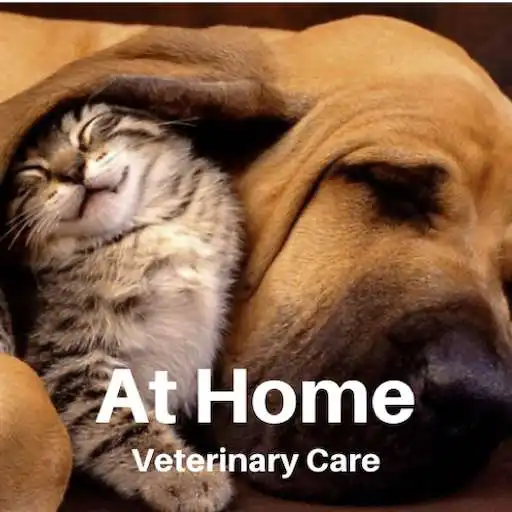 Play At Home Veterinary Care APK