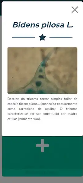 Play Atlas anatomia vegetal as an online game Atlas anatomia vegetal with UptoPlay