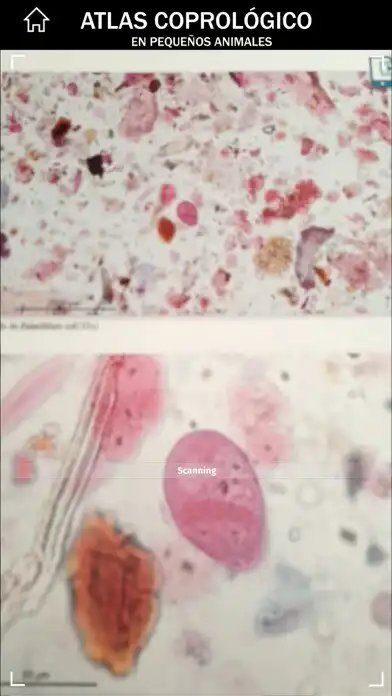 Play ATLAS DE COPROLOGÍA AR as an online game ATLAS DE COPROLOGÍA AR with UptoPlay