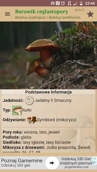 Play Atlas grzybów  and enjoy Atlas grzybów with UptoPlay