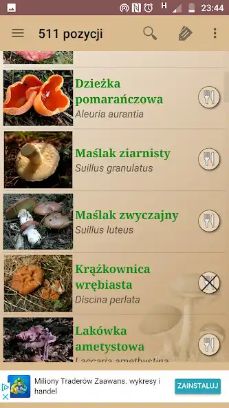Play Atlas grzybów as an online game Atlas grzybów with UptoPlay