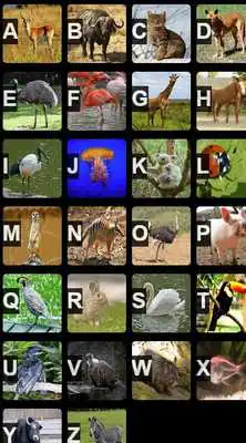 Play A to Z Animals  and enjoy A to Z Animals with UptoPlay