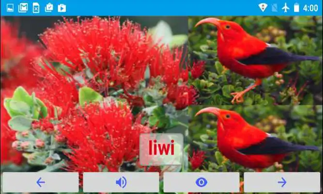 Play AtoZ Birds Name Prime
