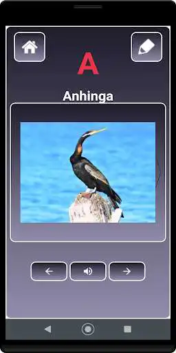 Play A to Z Birds Name  and enjoy A to Z Birds Name with UptoPlay