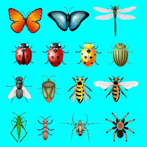 Run free android online AtoZ Insects Name Prime APK Run free android online AtoZ Insects Name Prime APK